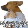 tray-icon