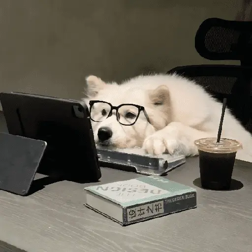Perritos de Todo un Poco! 🐕🐩