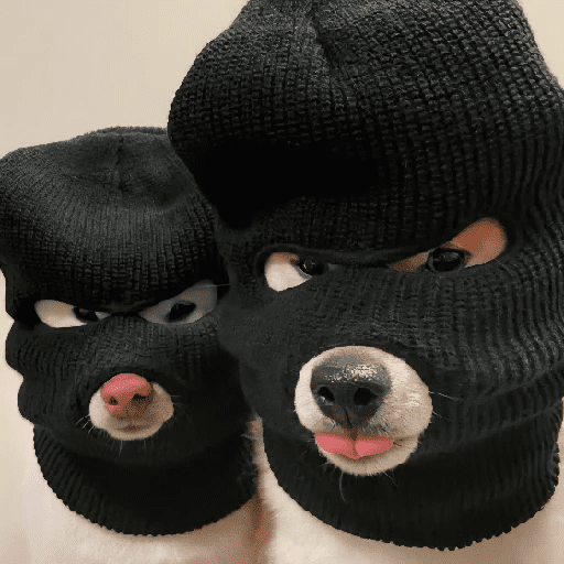 Perritos de Todo un Poco! 🐕🐩 preview