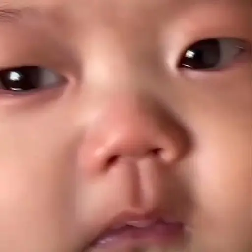 🔥TIKTOK RAMDON 2.1📲