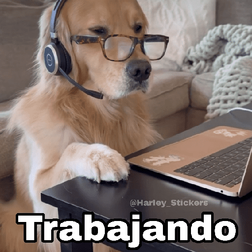 🌀 Perros con Frases 🐕🫧 preview