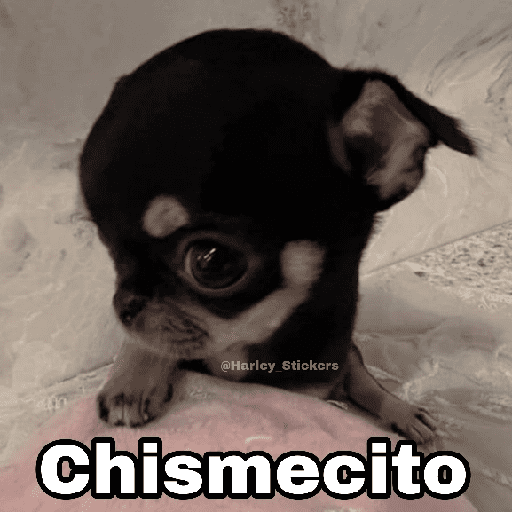 🌀 Perros con Frases 🐕🫧 preview