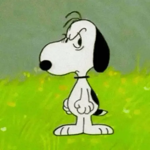 Memes do Snoopy 🤍🖤