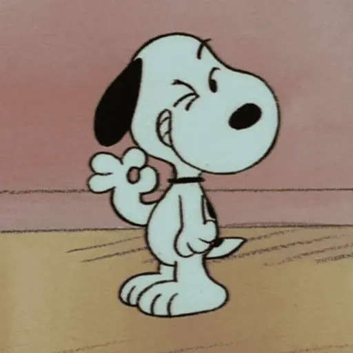 Memes do Snoopy 🤍🖤