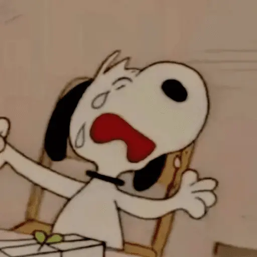 Memes do Snoopy 🤍🖤