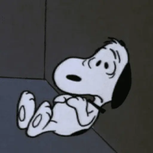 Memes do Snoopy 🤍🖤