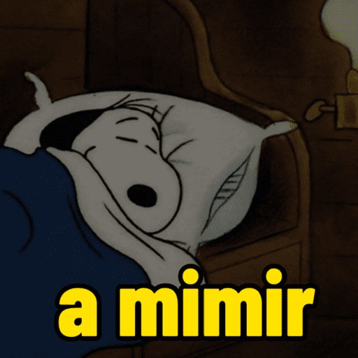Memes do Snoopy 🤍🖤 preview