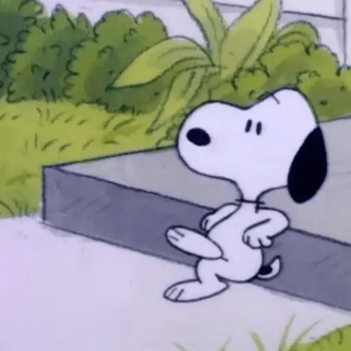 Memes do Snoopy 🤍🖤