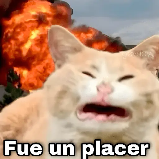 Guerra mundial💣💥 memes🔥