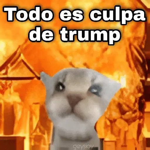 Guerra mundial💣💥 memes🔥