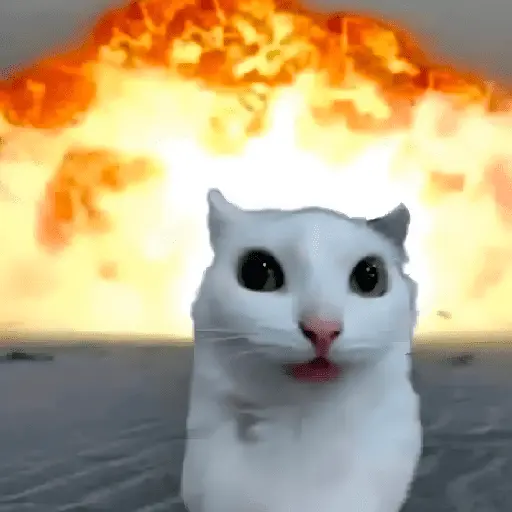 Guerra mundial💣💥 memes🔥