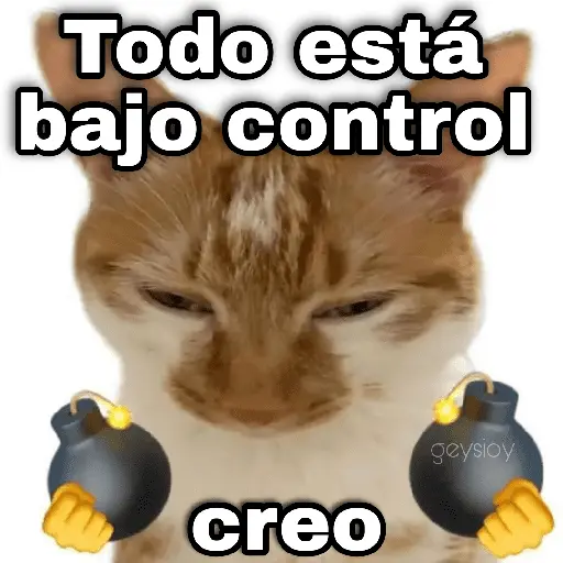 Guerra mundial💣💥 memes🔥