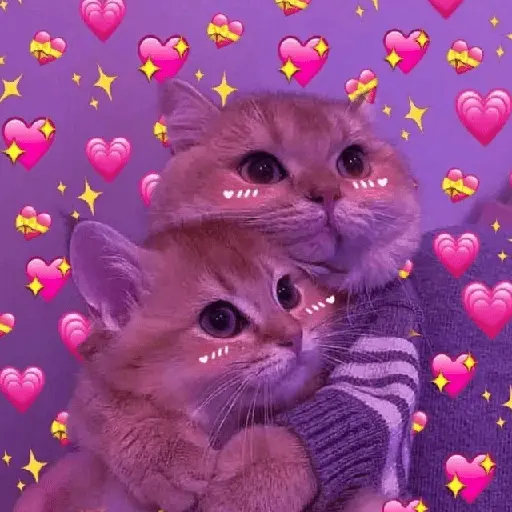 🧋🌸 AMORCITO 💕💘