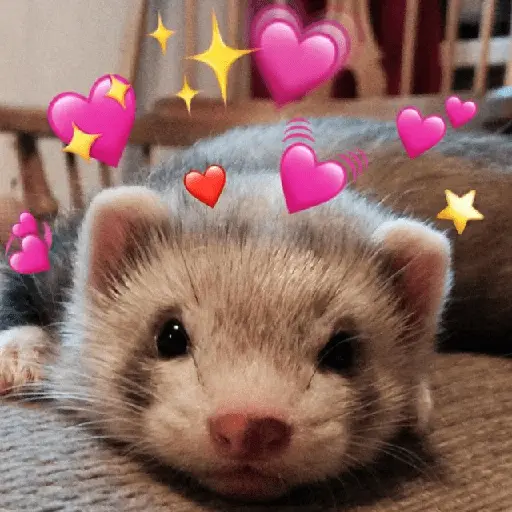 🧋🌸 AMORCITO 💕💘
