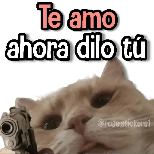 Amor Memes❤️🔥💖