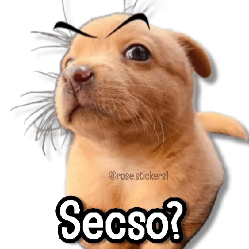 Amor Memes❤️🔥💖
