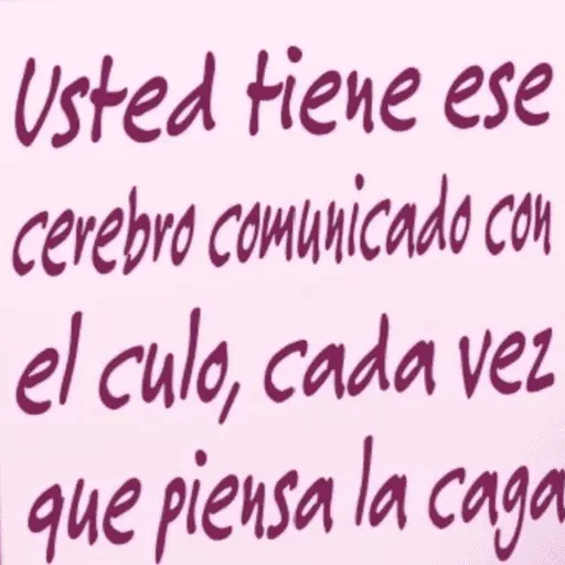 Notitas pendejas del tiktok 😂