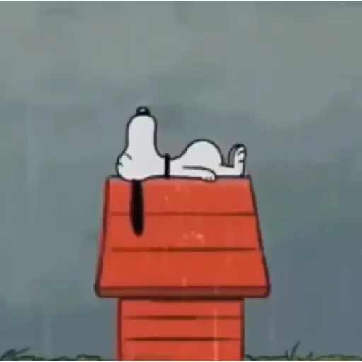 Snoopy ✨🐾
