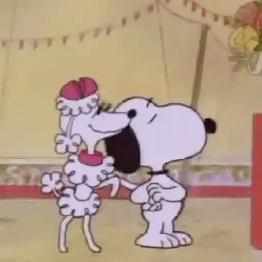 Snoopy ✨🐾