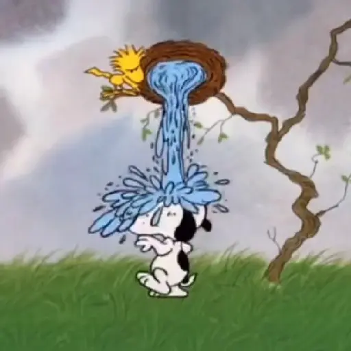 Snoopy ✨🐾
