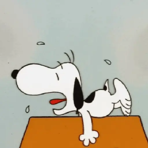 Snoopy ✨🐾