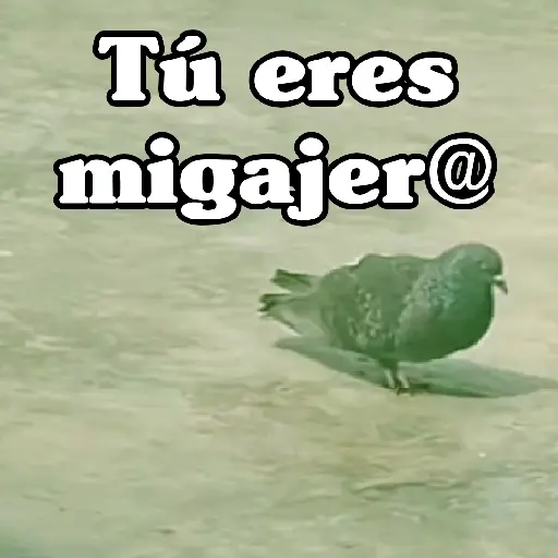 🧿Paloma Migajera🍞🕊️