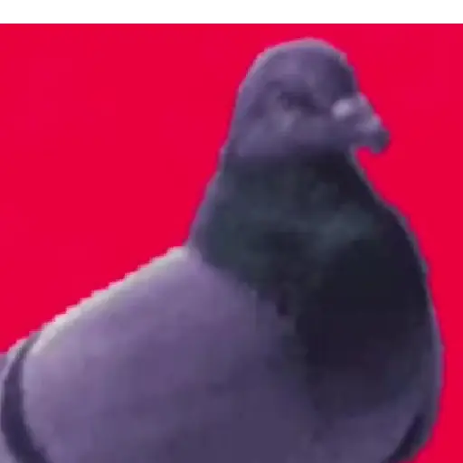 🧿Paloma Migajera🍞🕊️
