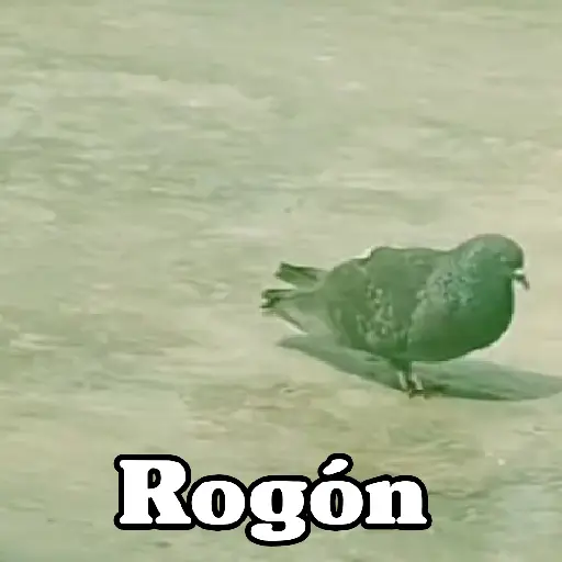 🧿Paloma Migajera🍞🕊️