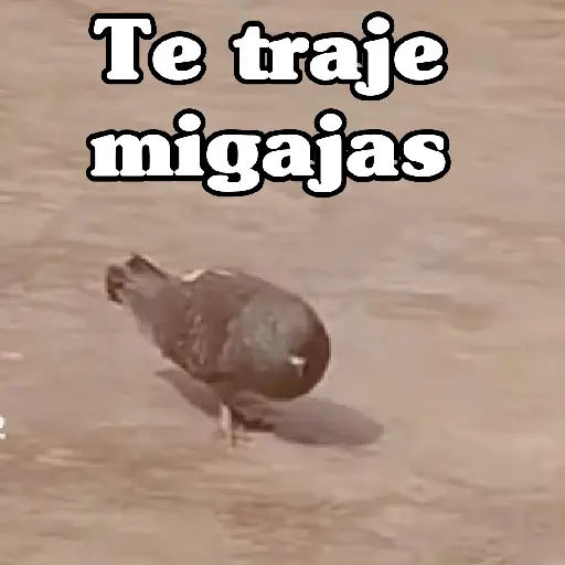 🧿Paloma Migajera🍞🕊️