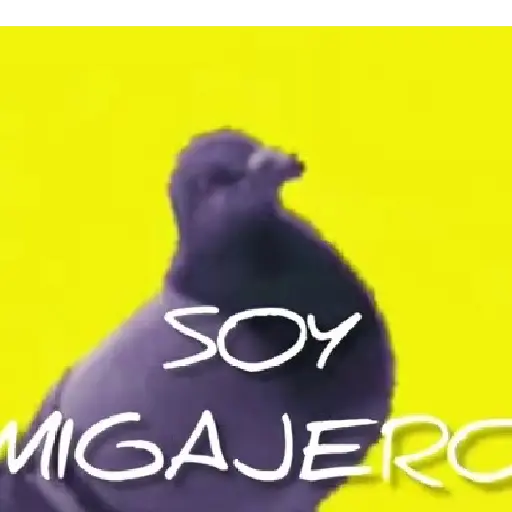 🧿Paloma Migajera🍞🕊️ preview