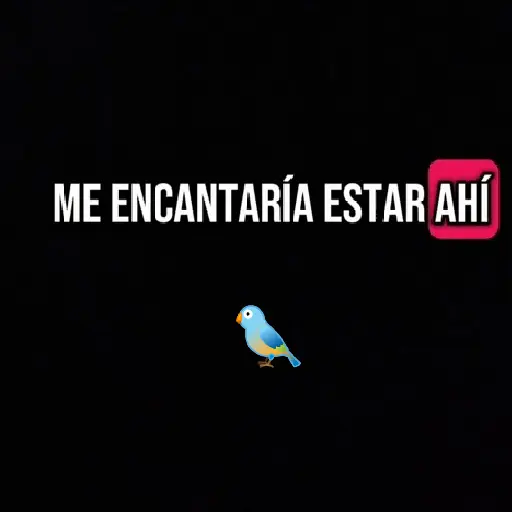 🧿Paloma Migajera🍞🕊️