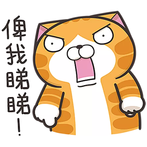 白爛貓☆第３７彈☆