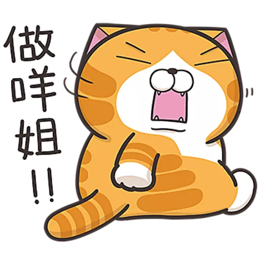 白爛貓☆第３７彈☆