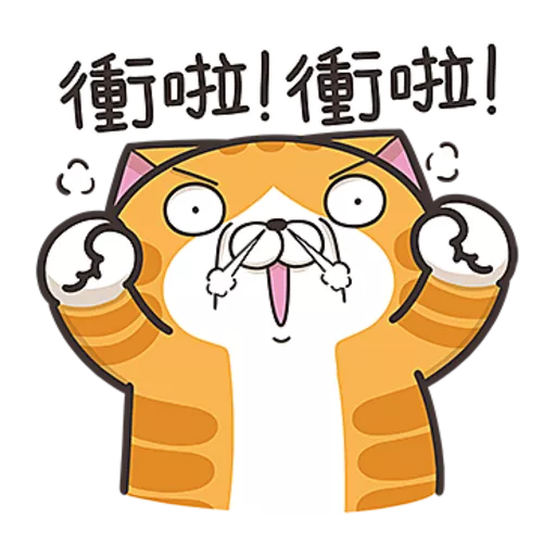 白爛貓☆第３７彈☆
