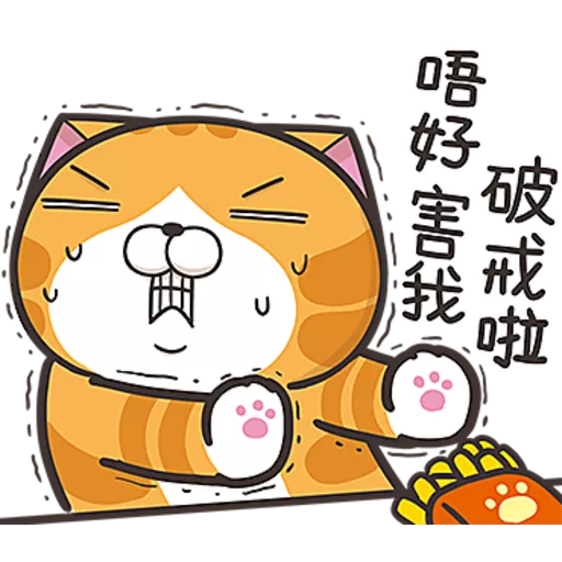 白爛貓☆第３７彈☆