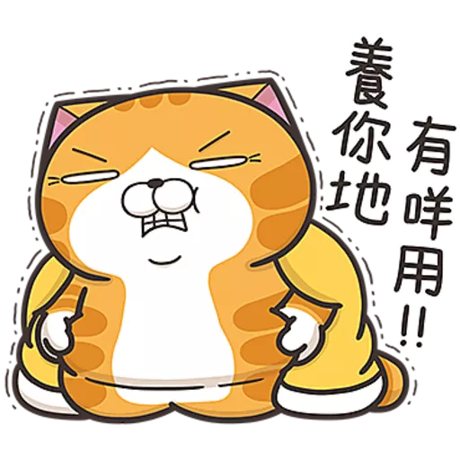 白爛貓☆第３７彈☆