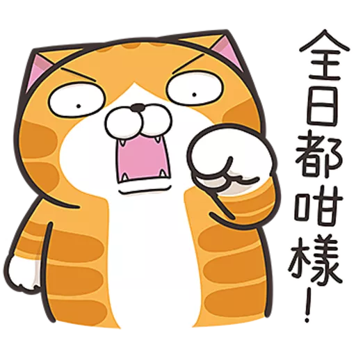 白爛貓☆第３７彈☆