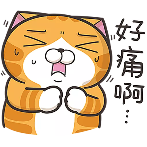 白爛貓☆第３７彈☆