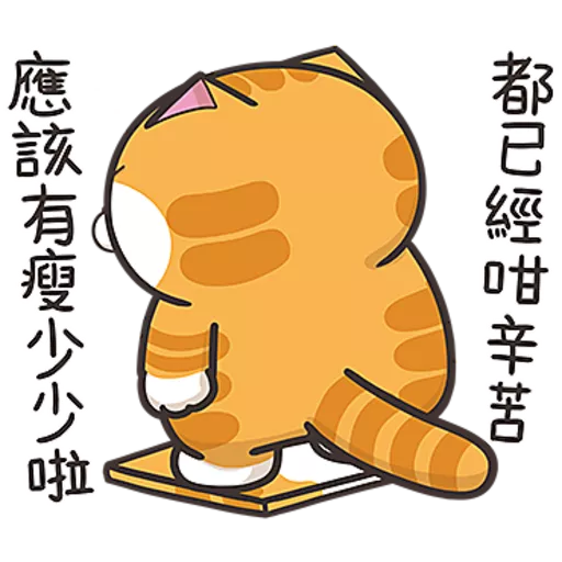 白爛貓☆第３７彈☆