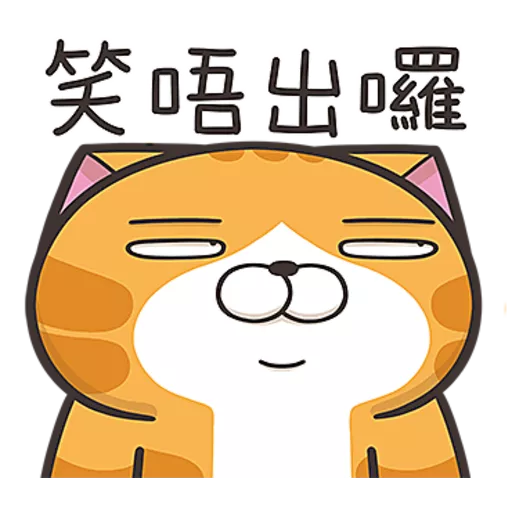 白爛貓☆第３７彈☆