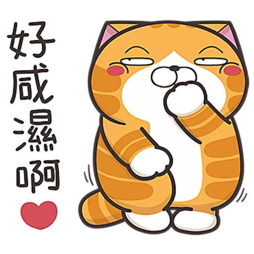 白爛貓☆第３７彈☆