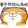 白爛貓☆第３７彈☆