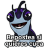 🐛🪴 BAJOTERRA 🪴🐛