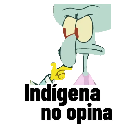 🗣️ CALAMARDO RESPONDE 🐙❎
