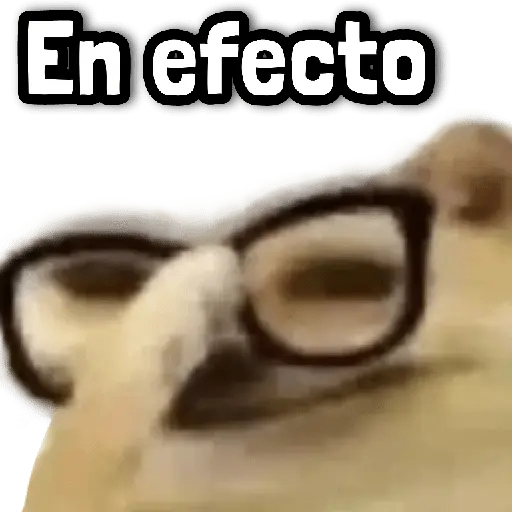 ✅ Stickers sin Filtro #➐