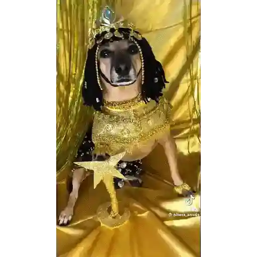 💅trend viral la cleopatra💥