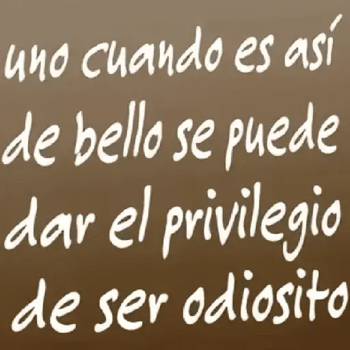 👩🏻‍💻💭 Frases | Textos 3 👨🏻‍💻💭