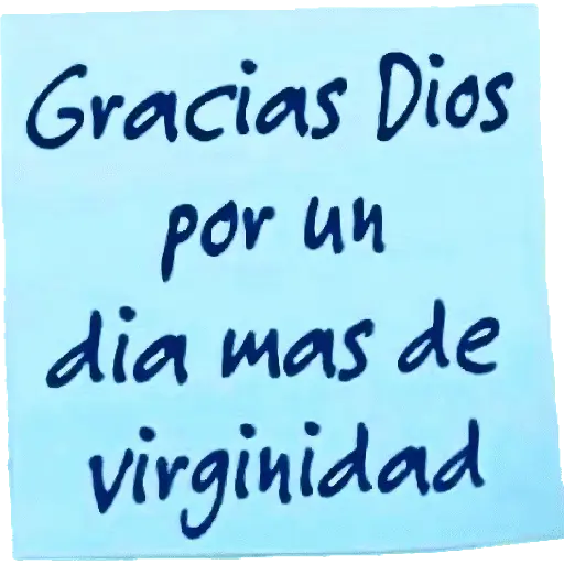 👩🏻‍💻💭 Frases | Textos 3 👨🏻‍💻💭