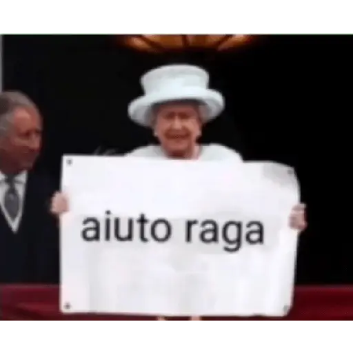 random memes