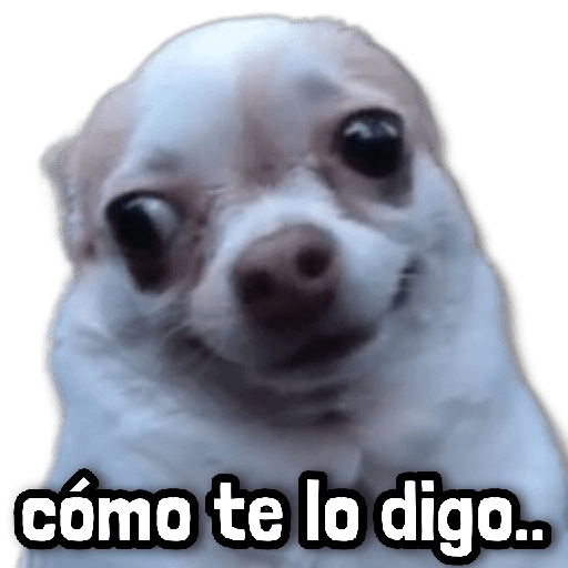 🐾 Perritos y Reacciones! 🔝 preview